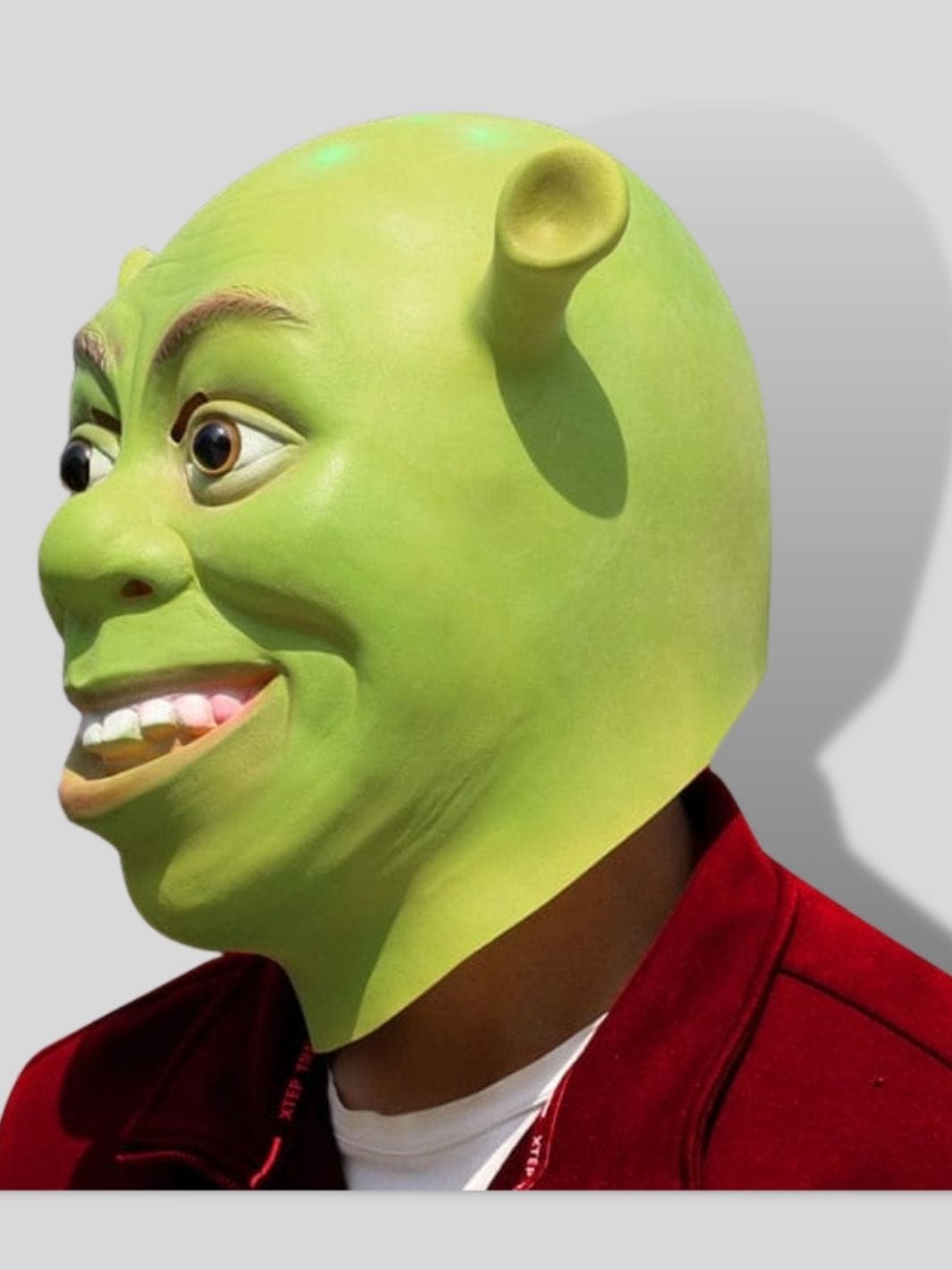 Masque Shrek | Mask Mania